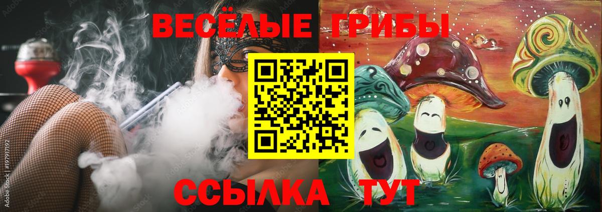 Еманжелинск  Галлюциногенные грибы мицелий  Псилоцибиновые грибы мицелий  Вход с VPN 
